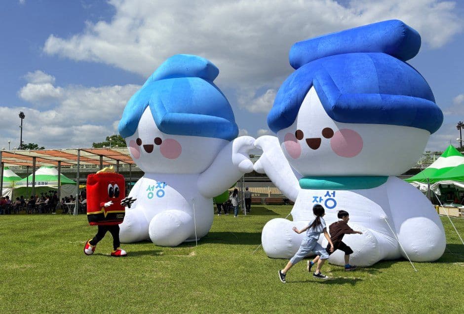 장성 황룡강 가을꽃축제